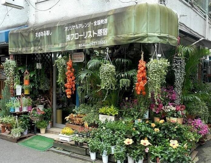 90后美女在閣樓開店鋪！房間太破，奇思妙想用各種植物來掩蓋