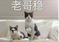 裝修節(jié)目有哪些_小戶(hù)型裝修節(jié)目_天津電視臺(tái)裝修節(jié)目