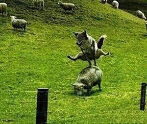 美搭屋裝修網_紙牌屋第一季 美劇網_美搭屋裝修網可靠嗎