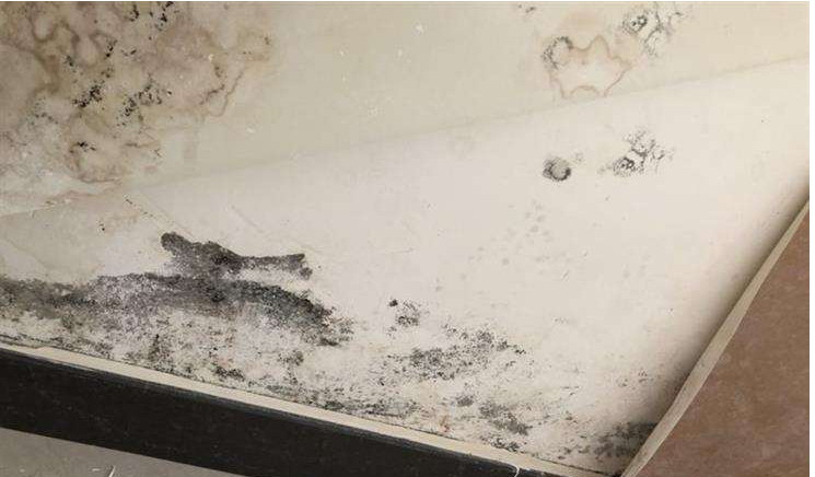 搞定梅雨天墻面受潮發(fā)霉，就選美涂士凈味抗甲醛微晶石藝術(shù)漆