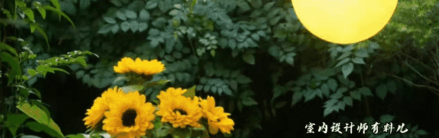 她買下一樓60平方米院子，打造成絕美花園，連陽臺(tái)、客廳也不放過