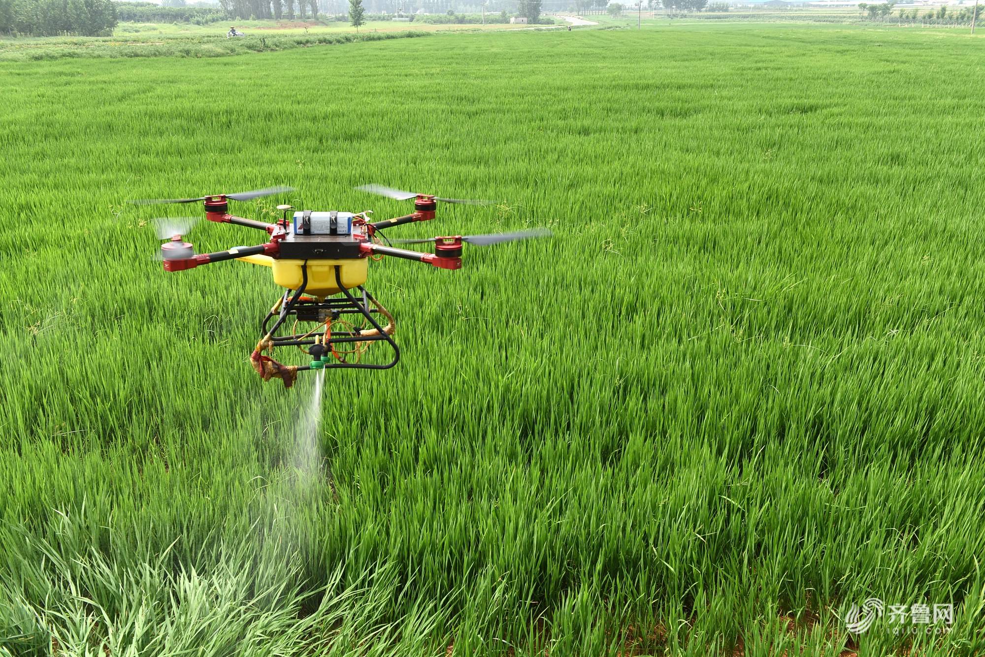 無人機打農(nóng)藥，這是把雙刃劍！